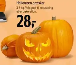 Føtex Halloween græskar tilbud