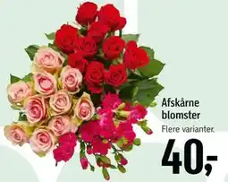 Føtex Afskårne blomster tilbud