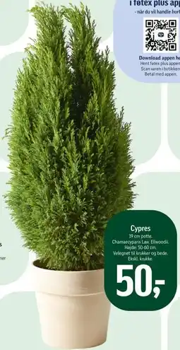 Føtex Cypres tilbud