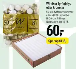 Føtex Windsor fyrfadslys eller kronelys tilbud