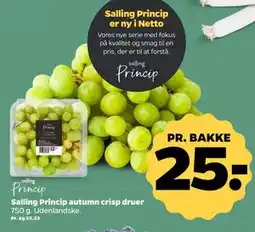 Netto Salling Princip autumn crisp druer tilbud