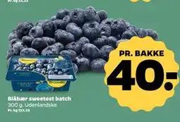 Netto Blåbær sweetest batch tilbud
