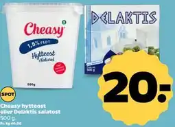 Netto Cheasy hytteost eller Delaktis salatost tilbud