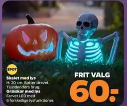 Netto Græskar med lys tilbud