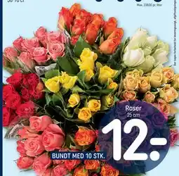 REMA 1000 Roser tilbud