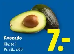 Lidl Avocado tilbud