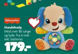 Fætter BR Hundehvalp tilbud