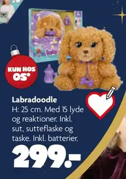 Fætter BR Labradoodle tilbud