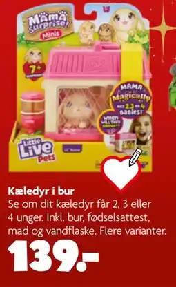 Fætter BR Kæledyr i bur tilbud
