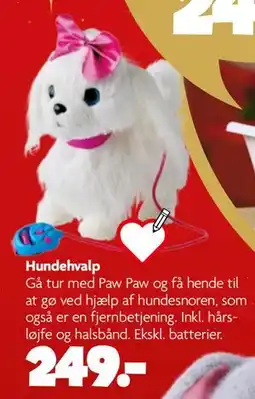Fætter BR Hundehvalp tilbud