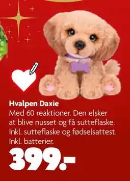 Fætter BR Hvalpen Daxie tilbud