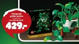 Fætter BR Hængende gylden pothos tilbud
