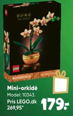 Bilka Mini-orkidé tilbud