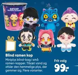Bilka Blind ramen kop tilbud