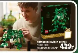 Bilka Hængende gylden pothos tilbud
