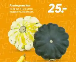 Bilka Pyntegræskar tilbud