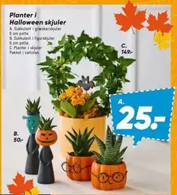 Bilka Planter i Halloween skjuler tilbud