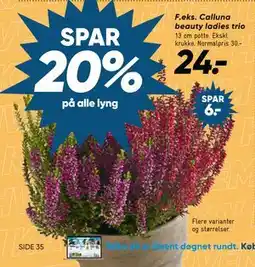 Bilka Calluna beauty ladies trio tilbud