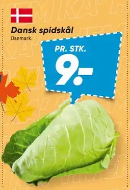 Bilka Dansk spidskål tilbud