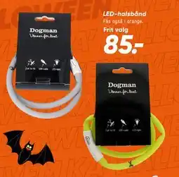 Bilka LED-halsbånd tilbud