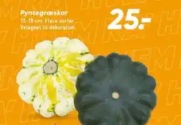Bilka Pyntegræskar tilbud