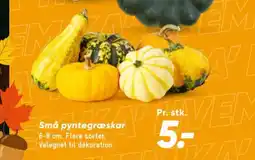 Bilka Små pyntegræskar tilbud