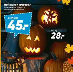 Bilka Halloween græskar tilbud