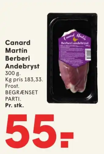 Canard Martín Berberi andebryst