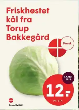 SPAR Dansk Hvidkål tilbud