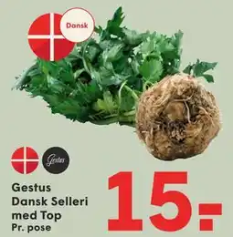 SPAR Gestus Dansk Selleri med Top tilbud