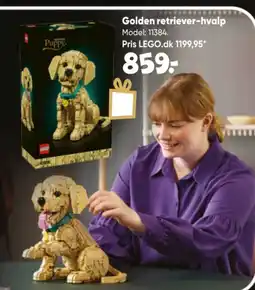 Bilka Golden retriever-hvalp tilbud