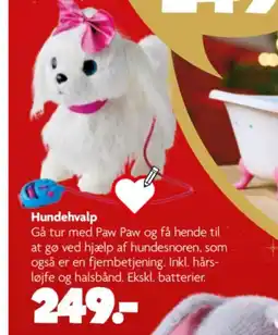 Fætter BR Hundehvalp tilbud
