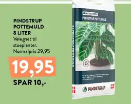 Plantorama PINDSTRUP POTTEMULD tilbud