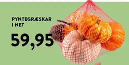 Plantorama PYNTEGRÆSKAR I NET tilbud