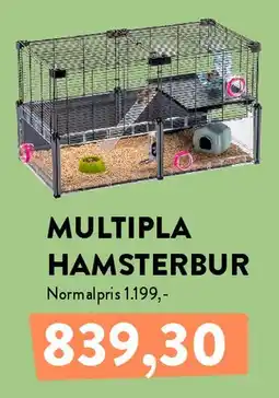 Plantorama MULTIPLA HAMSTERBUR tilbud
