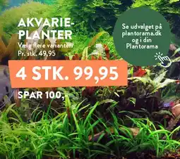 Plantorama AKVARIE-PLANTER (4 STK.) tilbud