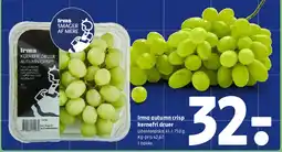 Coop 365 Irma autumn crisp kernefri druer tilbud