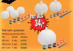 Harald Nyborg Mal selv-græskar tilbud