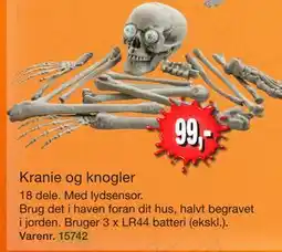Harald Nyborg Kranie og knogler tilbud