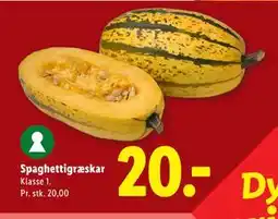 Lidl Spaghettigræskar tilbud
