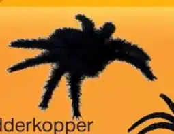 Harald Nyborg Edderkopper Fluffy tilbud