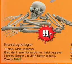 Harald Nyborg Kranie og knogler tilbud