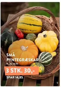 Plantorama SMÅ PYNTEGRÆSKAR tilbud