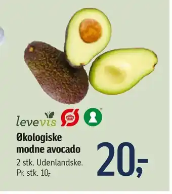 Føtex Økologiske modne avocado tilbud