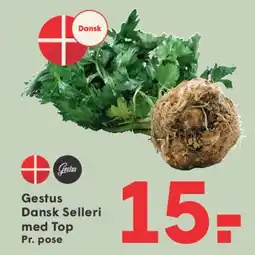 SPAR Gestus Dansk Selleri med Top tilbud