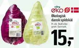 Føtex Økologisk dansk spidskål tilbud
