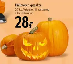 Føtex Halloween græskar tilbud