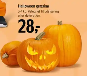 Føtex Halloween græskar tilbud