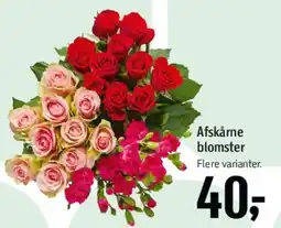 Føtex Afskårne blomster tilbud
