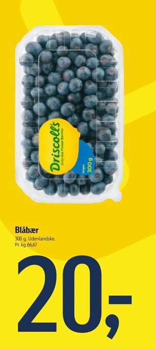 Føtex Blåbær tilbud